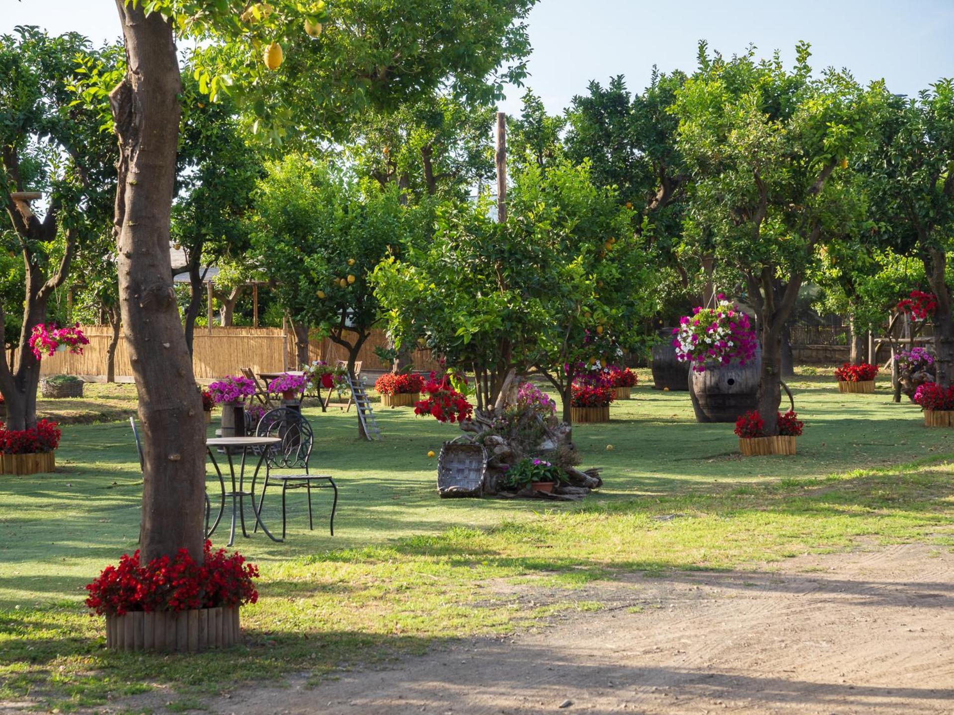 Giardino Di Nonno Lucio - Surrounded By Lemon Tree Piano di Sorrento Exterior foto