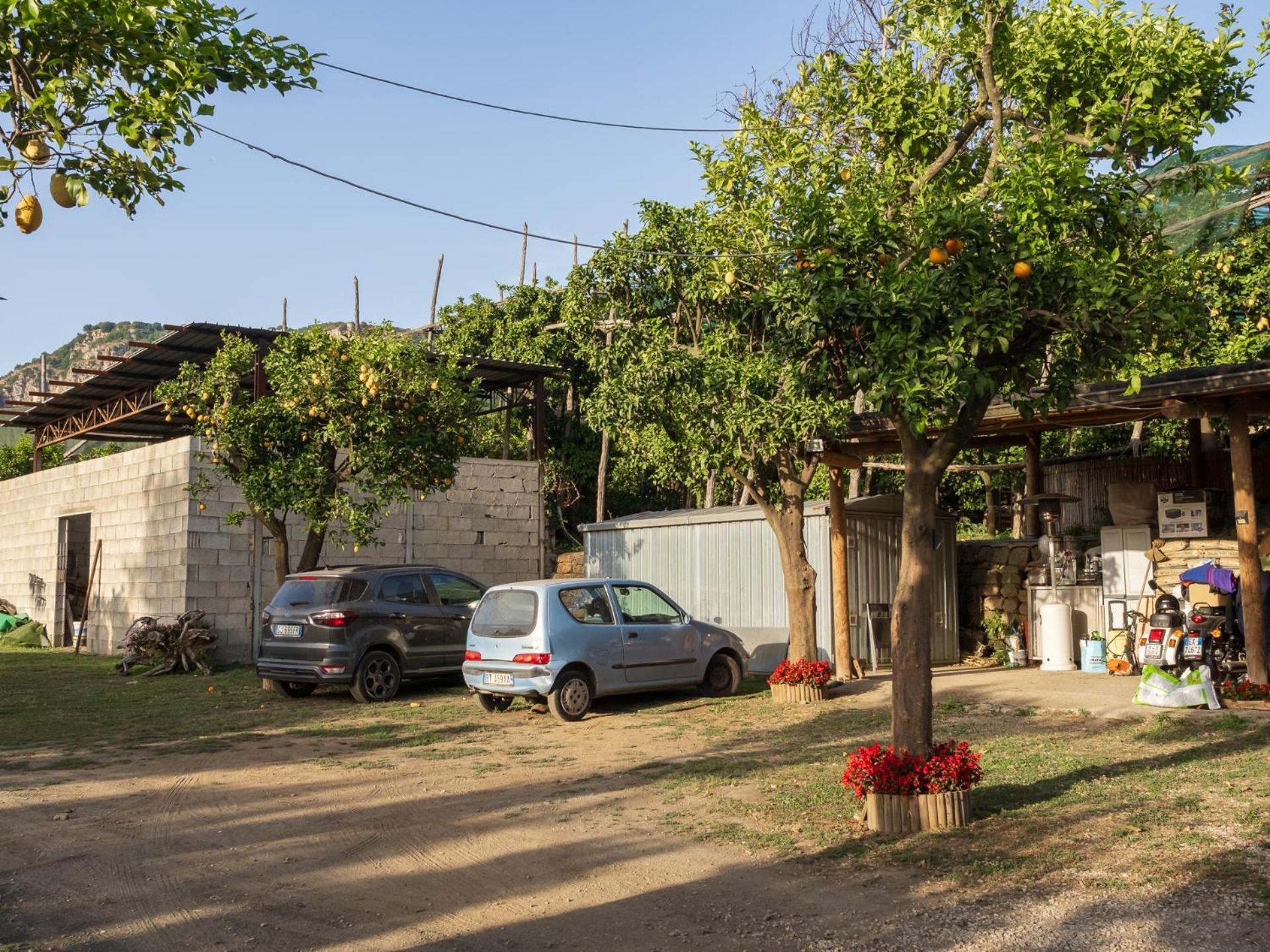Giardino Di Nonno Lucio - Surrounded By Lemon Tree Piano di Sorrento Exterior foto