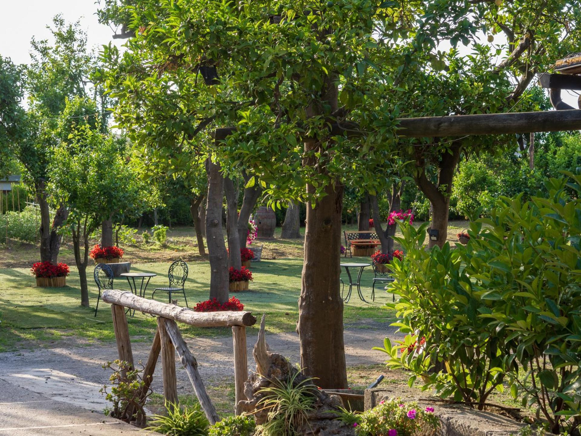 Giardino Di Nonno Lucio - Surrounded By Lemon Tree Piano di Sorrento Exterior foto
