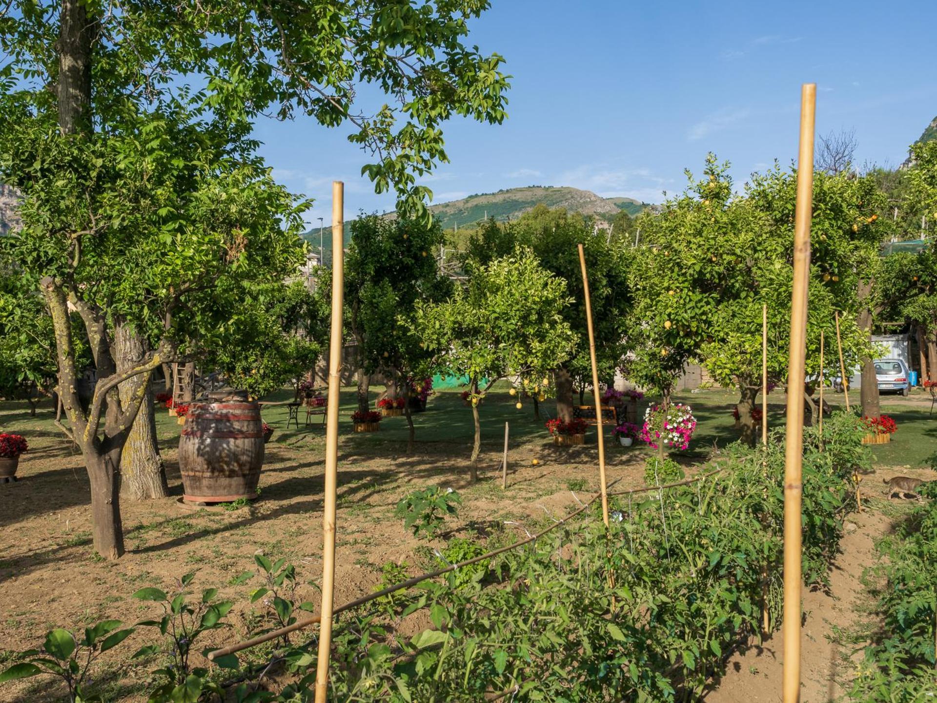 Giardino Di Nonno Lucio - Surrounded By Lemon Tree Piano di Sorrento Exterior foto