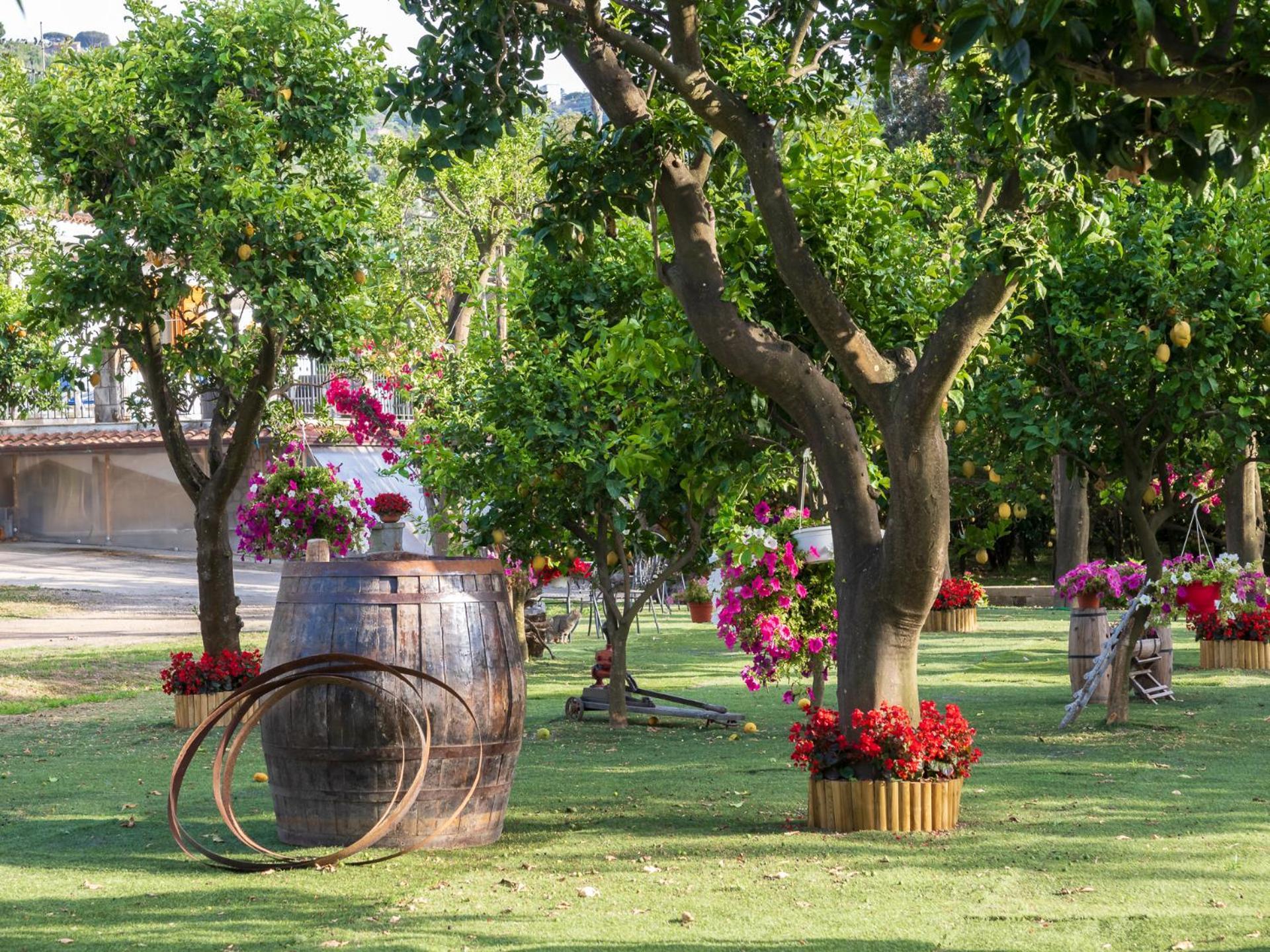 Giardino Di Nonno Lucio - Surrounded By Lemon Tree Piano di Sorrento Exterior foto