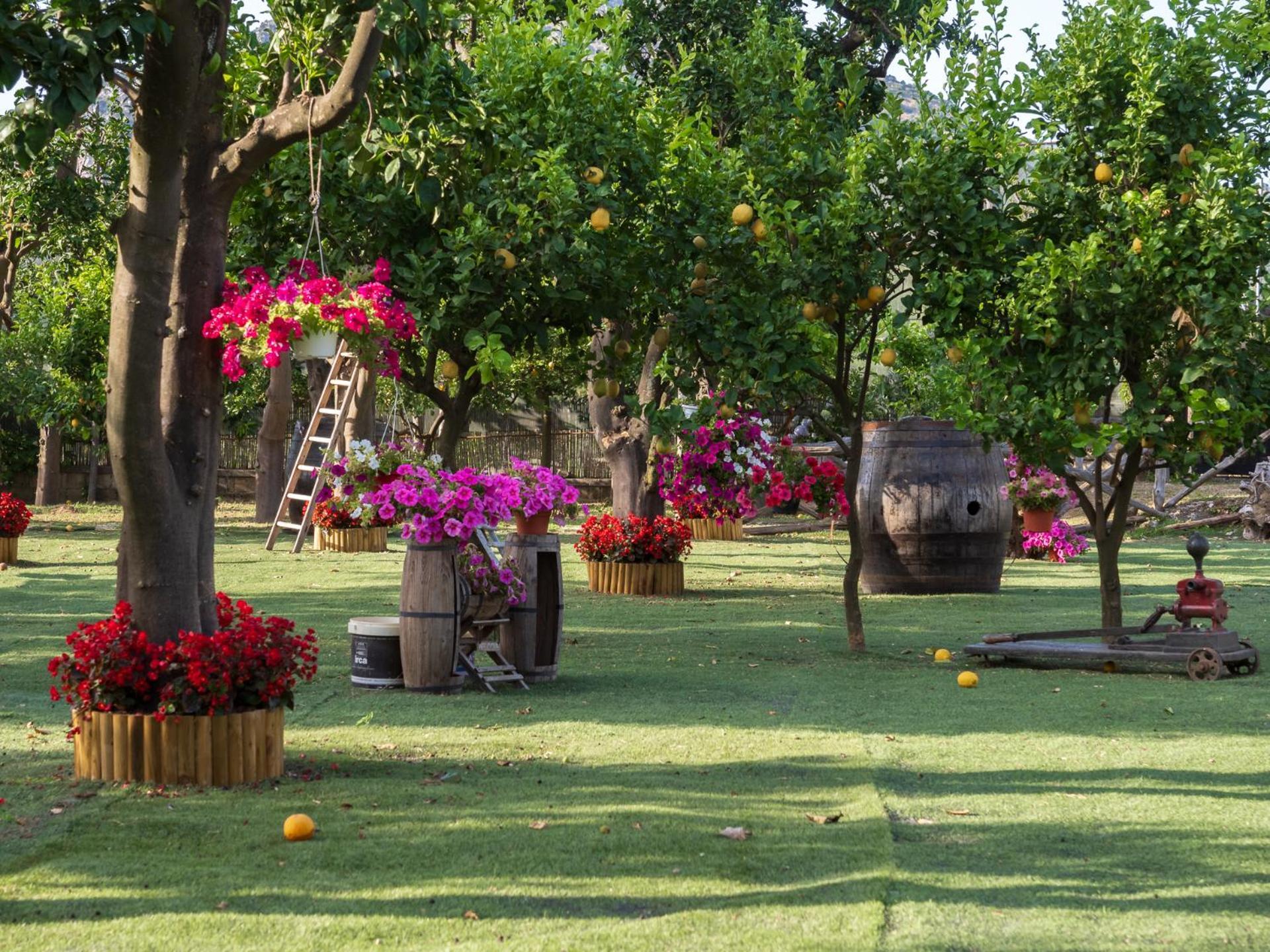 Giardino Di Nonno Lucio - Surrounded By Lemon Tree Piano di Sorrento Exterior foto