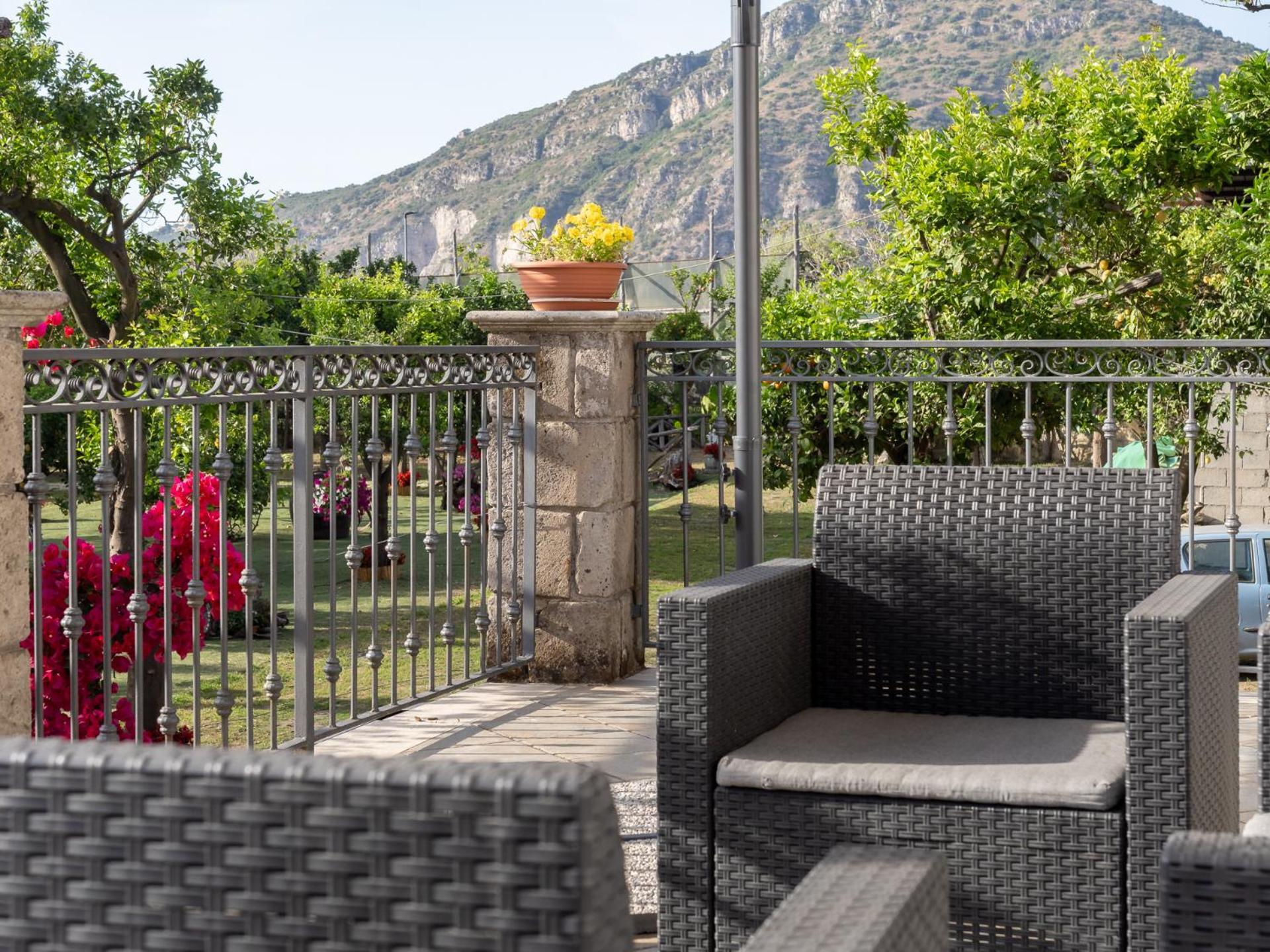 Giardino Di Nonno Lucio - Surrounded By Lemon Tree Piano di Sorrento Exterior foto
