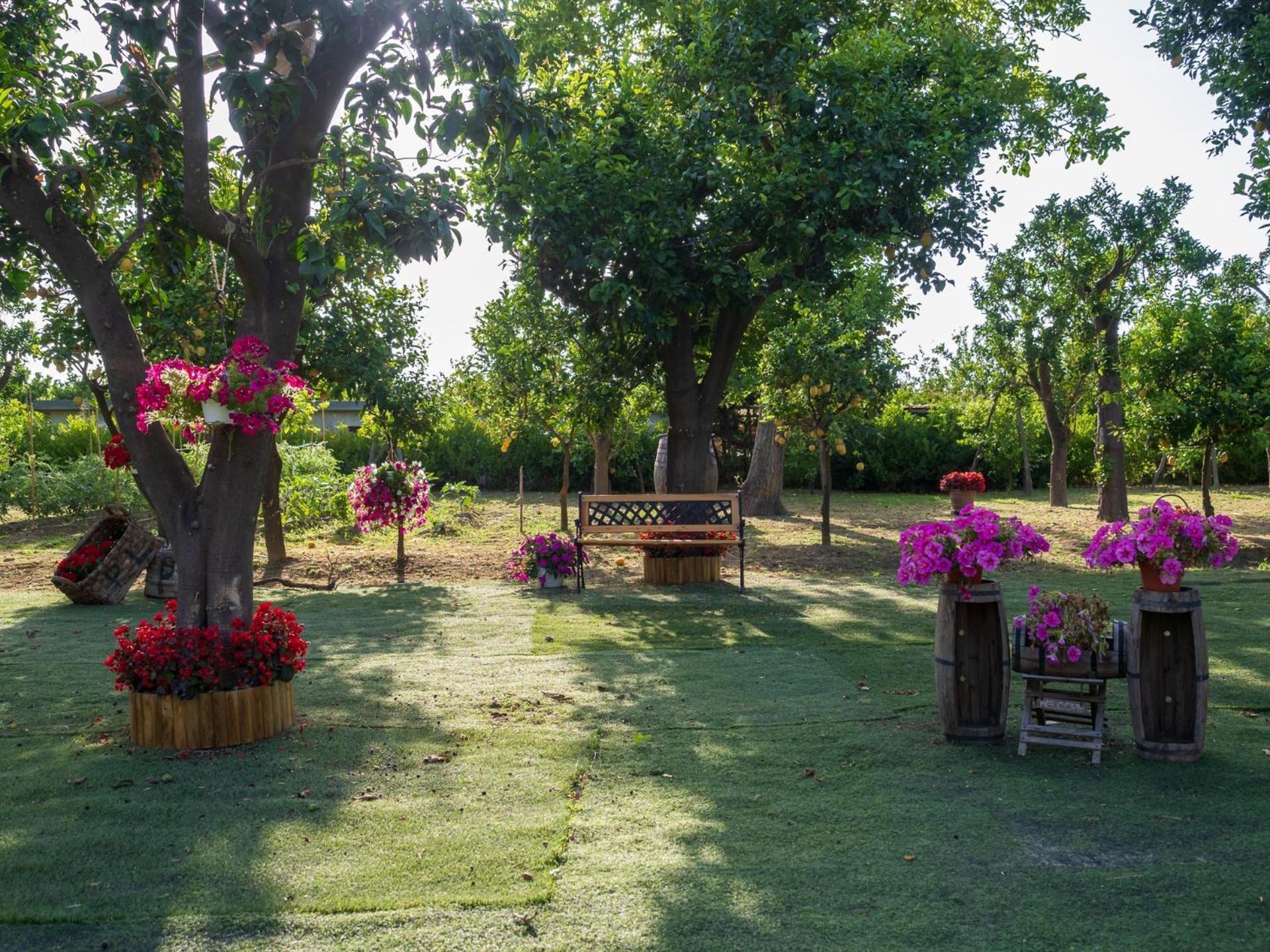 Giardino Di Nonno Lucio - Surrounded By Lemon Tree Piano di Sorrento Exterior foto